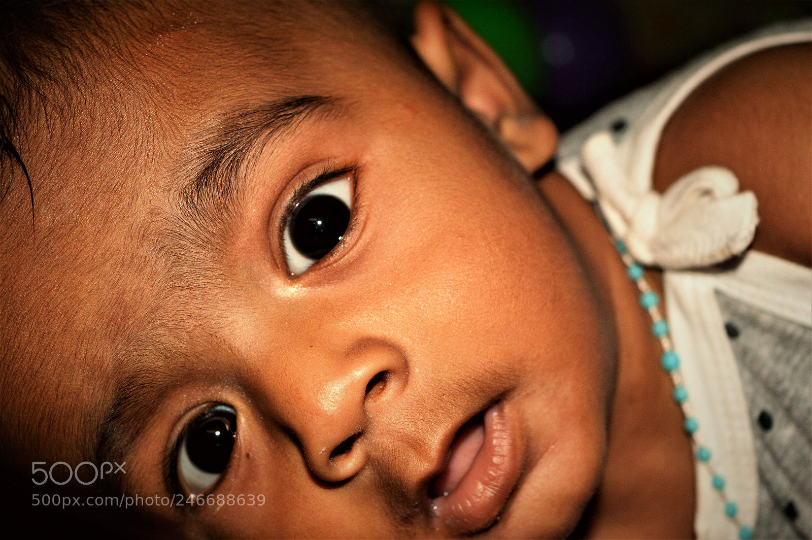 Nikon D3200 sample photo. Untitled photography