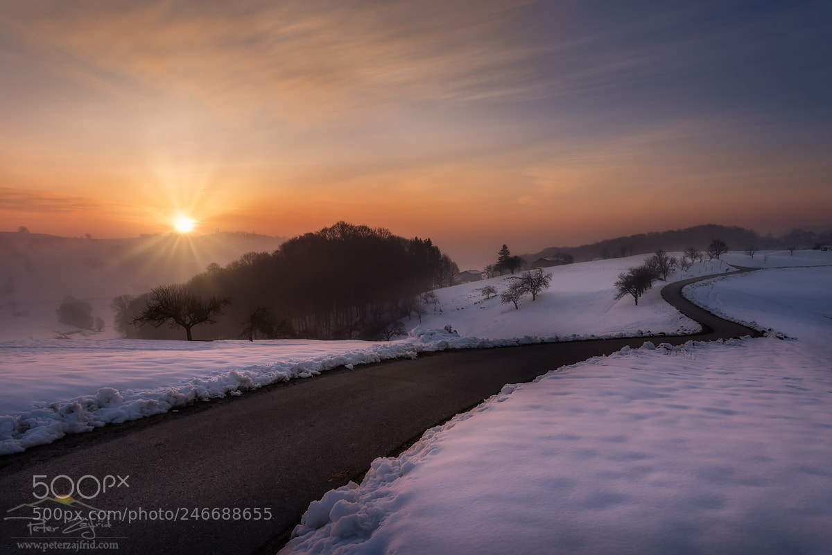 Nikon D810 sample photo. On the road photography