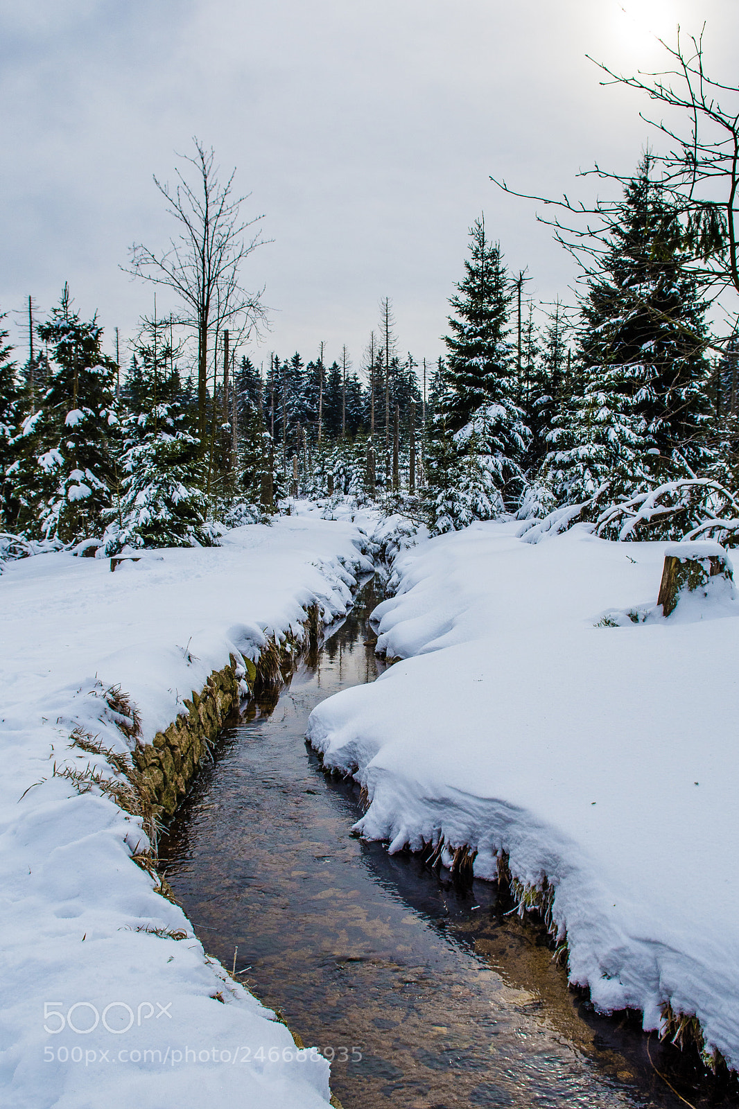 Nikon D7200 sample photo. Snow in the harz photography