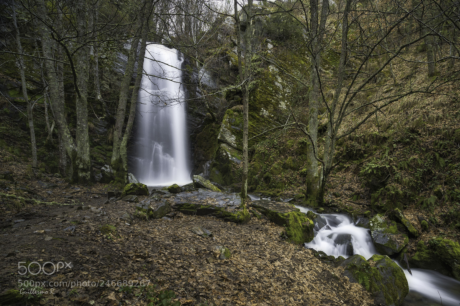 Sony a7 II sample photo. Cascada de cantejeira photography