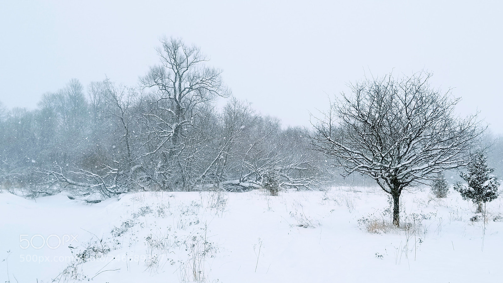 Samsung Galaxy S8+ sample photo. Winter solitude photography