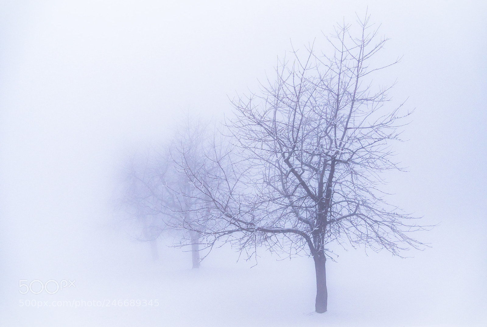 Panasonic Lumix DC-G9 sample photo. Winter calm photography