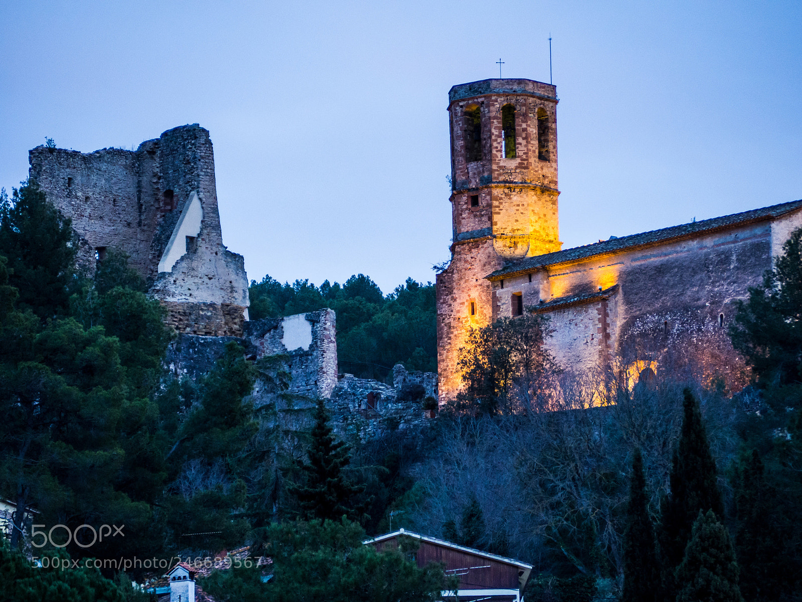Olympus OM-D E-M10 sample photo. Castle on a hill photography
