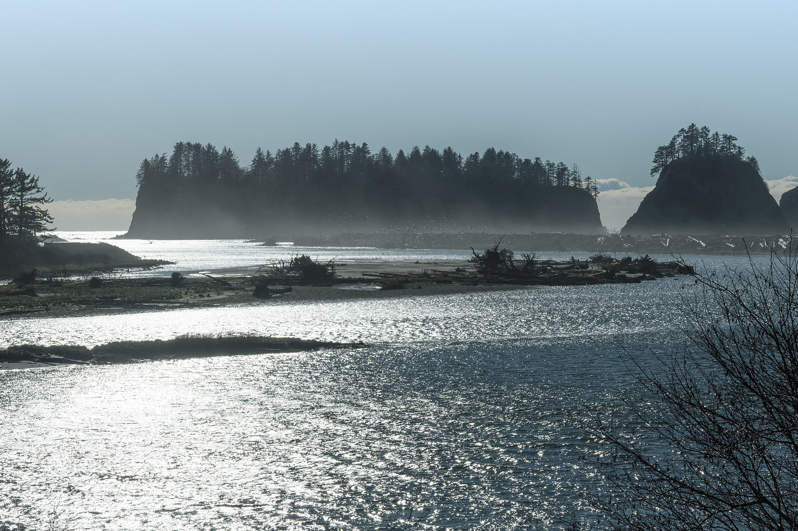 Nikon D500 sample photo. Quillayute river mouth at photography
