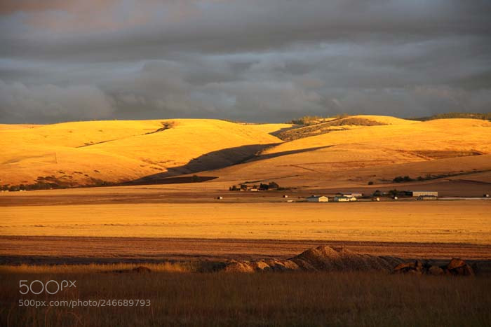 Canon EOS 50D sample photo. Rolling hills, central oregon photography