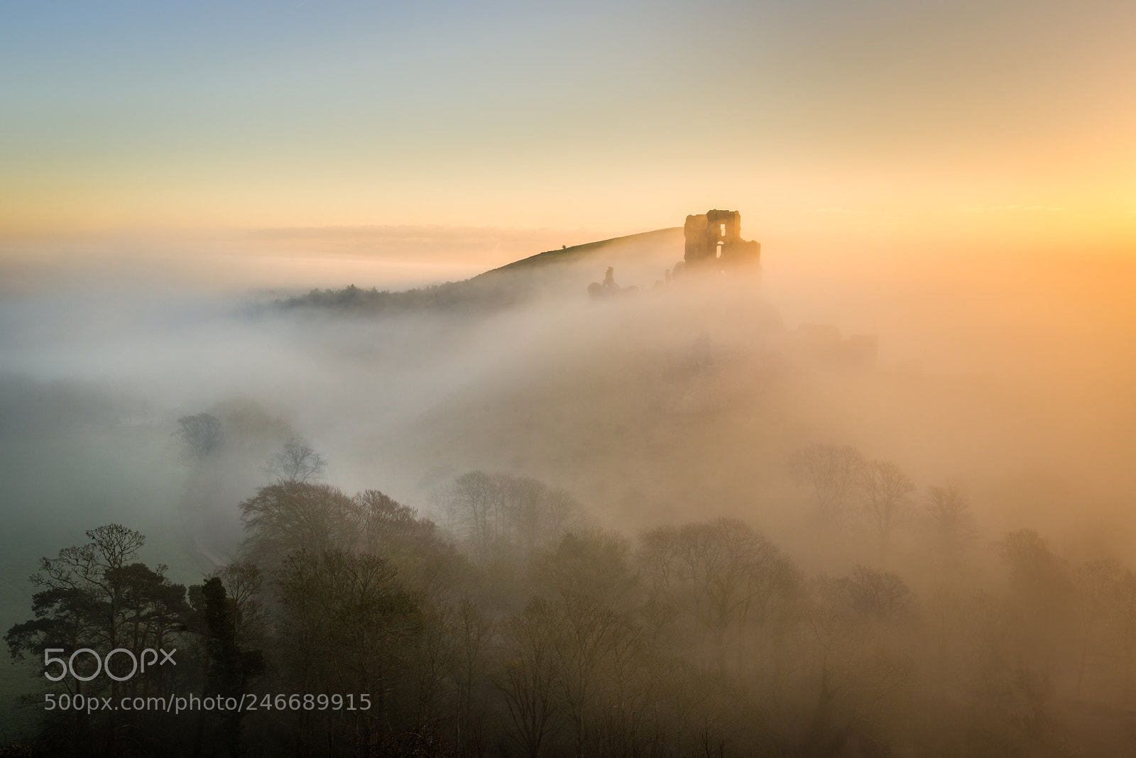 Nikon D800 sample photo. Out of the mist photography