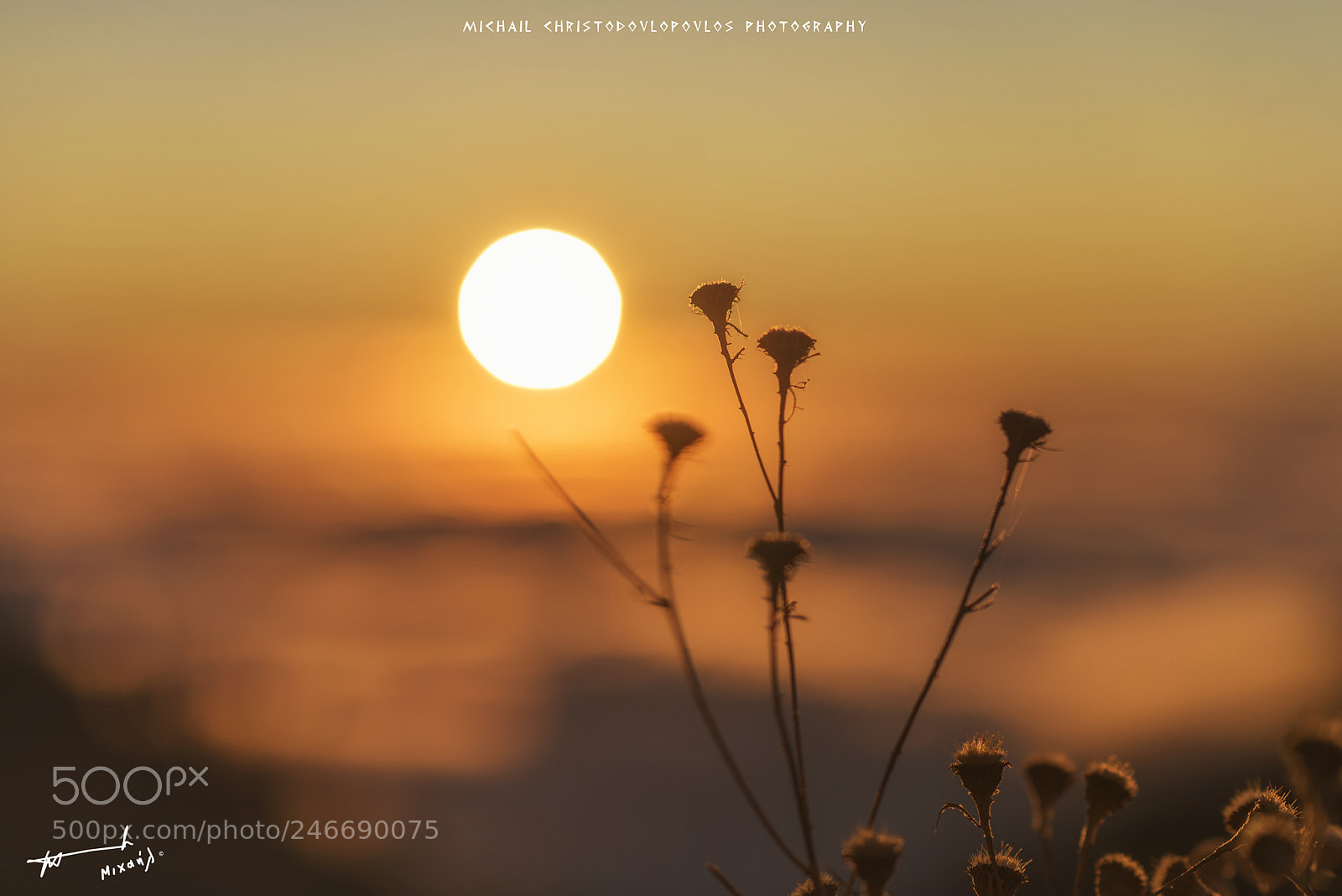 Nikon D810 sample photo. Teide (tenerife) photography