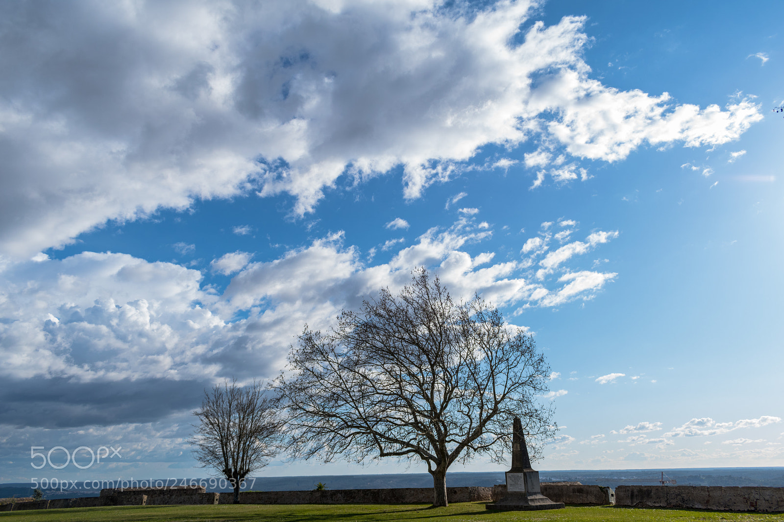 Nikon D5600 sample photo. Edu photography