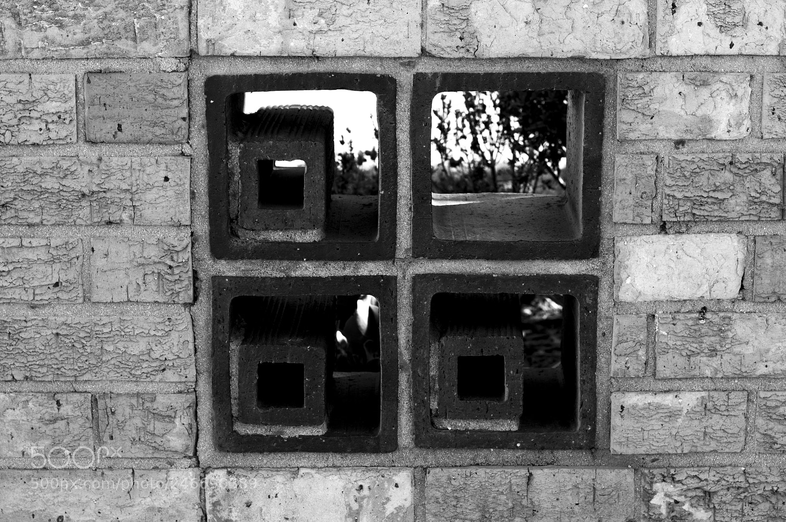 Nikon D3200 sample photo. Concrete windows photography