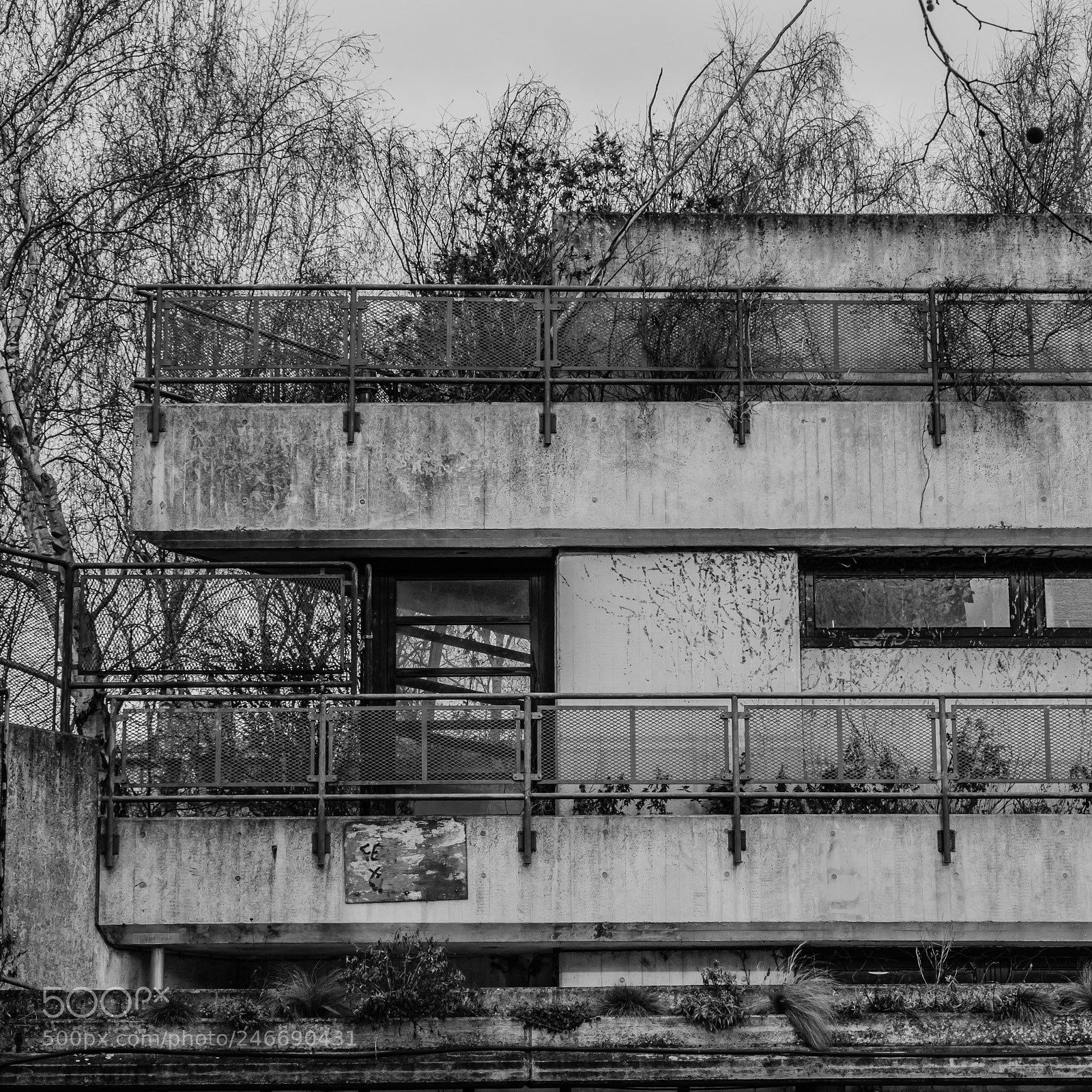 Fujifilm X-T2 sample photo. Alexandra and ainsworth estate photography