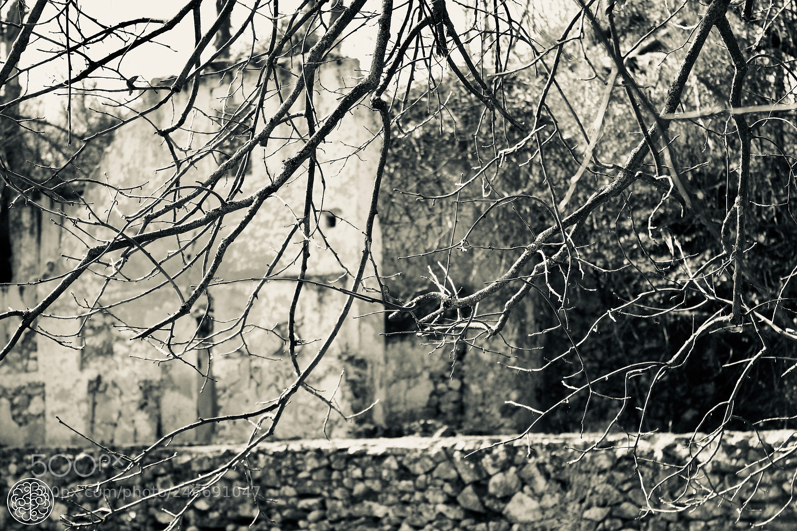 Canon EOS 1300D (EOS Rebel T6 / EOS Kiss X80) sample photo. Terror ruins photography