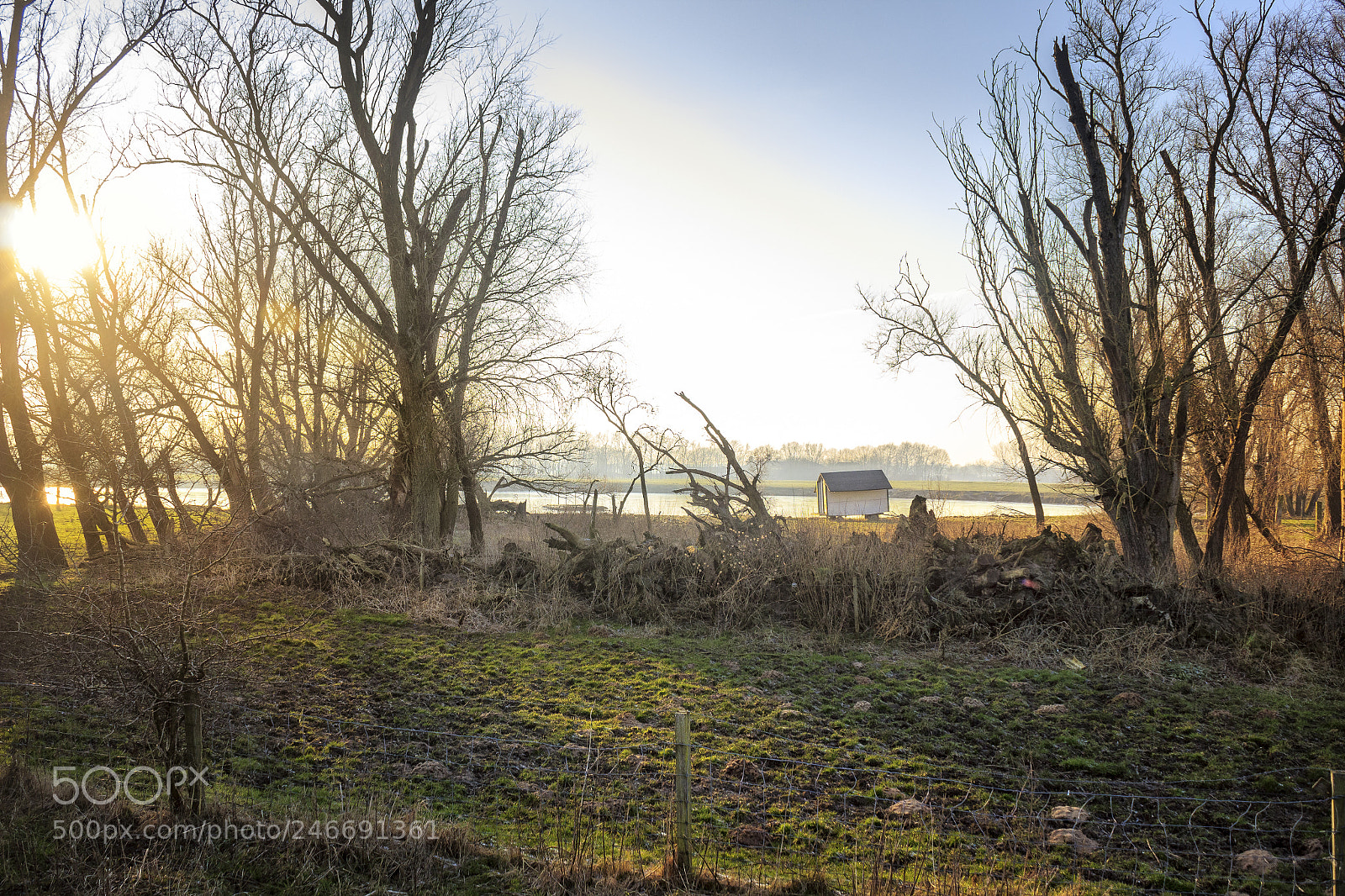 Canon EOS 600D (Rebel EOS T3i / EOS Kiss X5) sample photo. Lonely little house photography