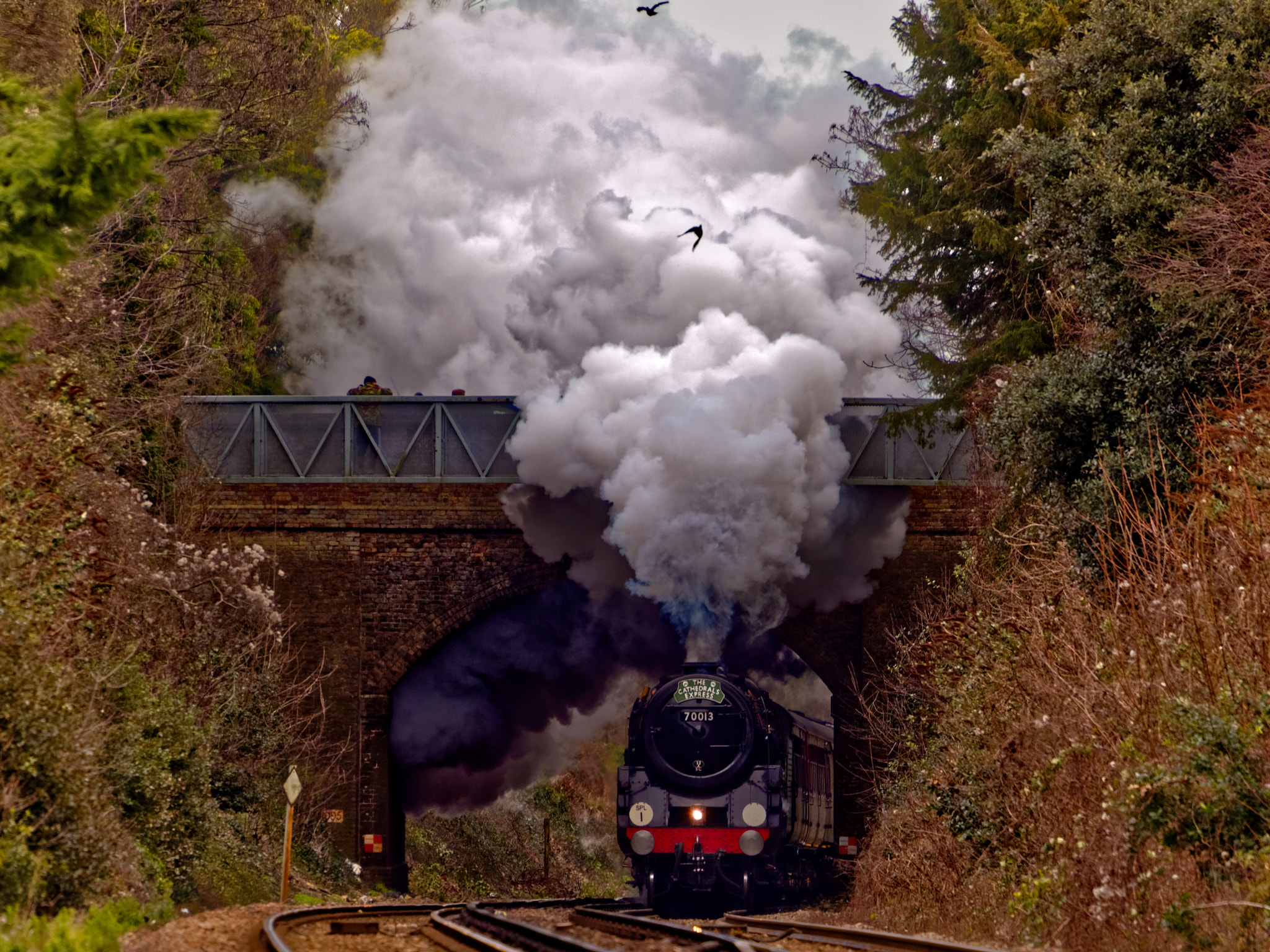 Nikon D600 sample photo. Oliver cromwell 70013 photography
