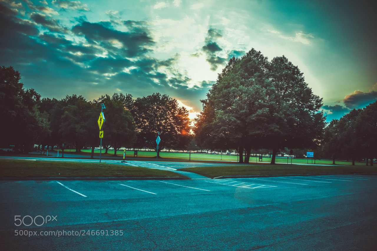 Nikon D7200 sample photo. Waking up.. photography