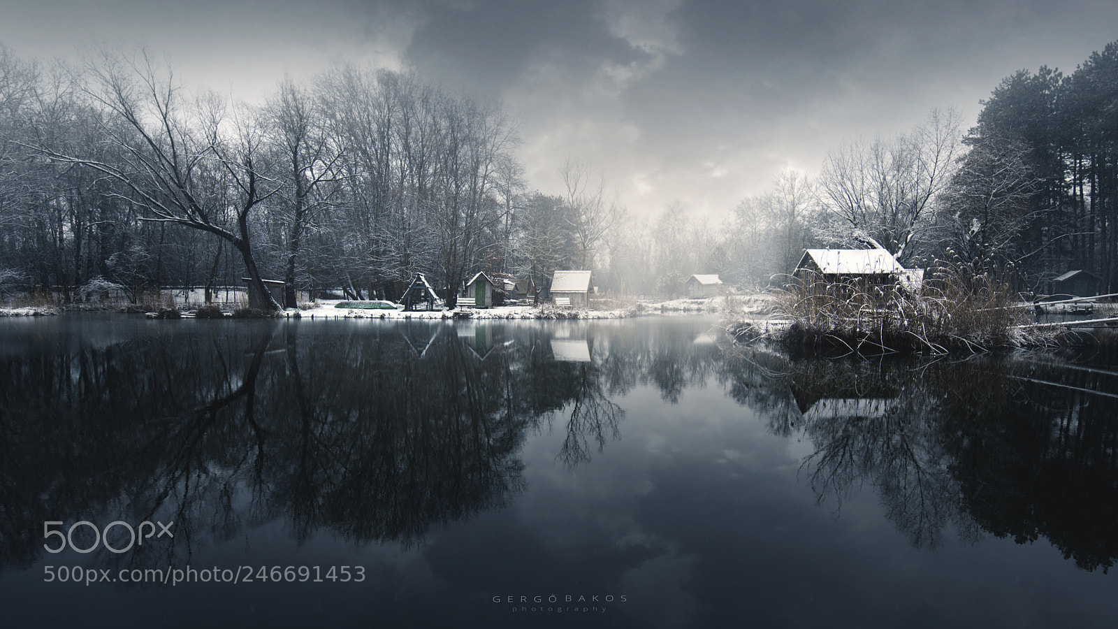 Nikon D810 sample photo. Snowy mood photography