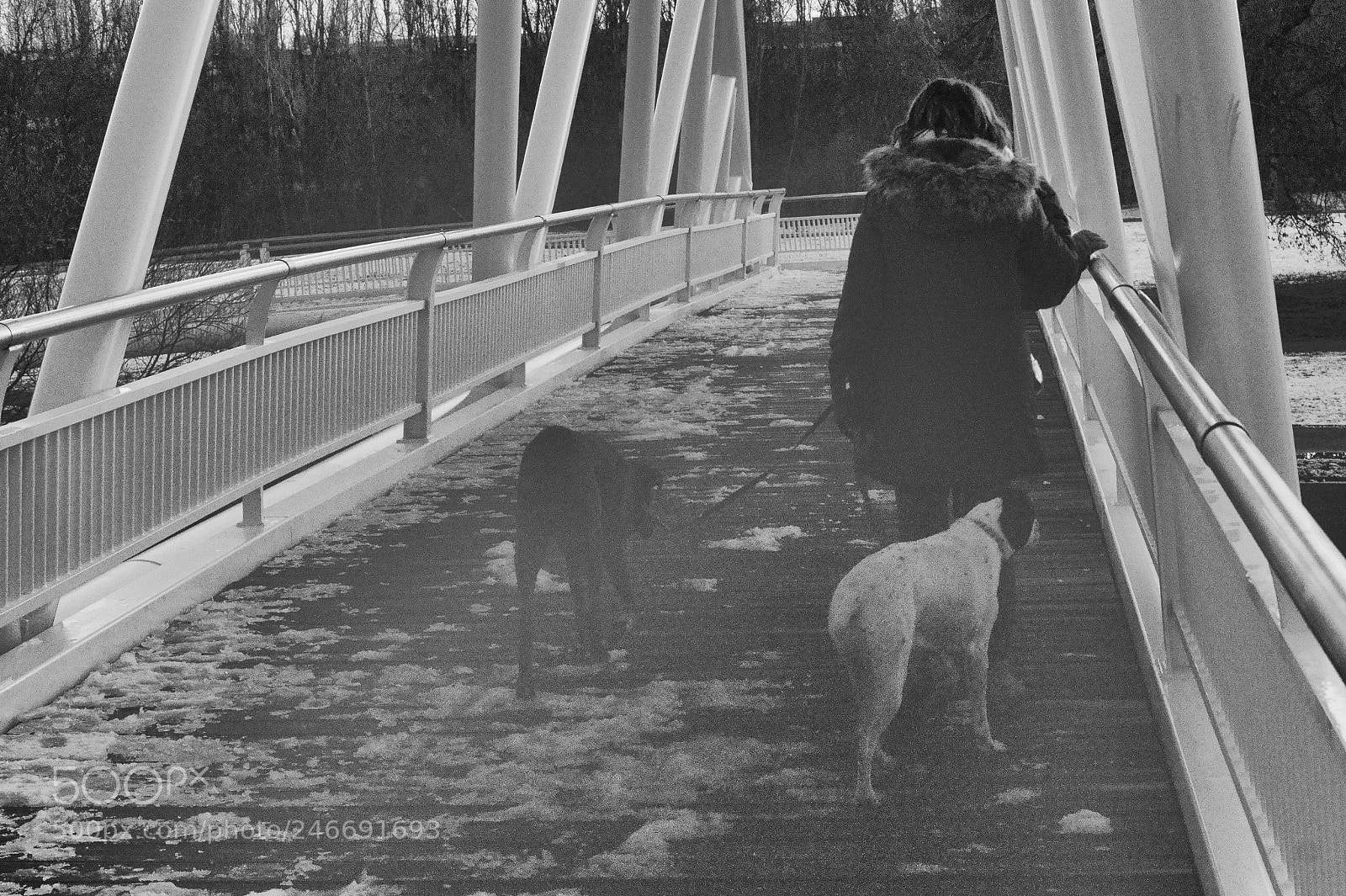 Sony SLT-A58 sample photo. Winter. photography