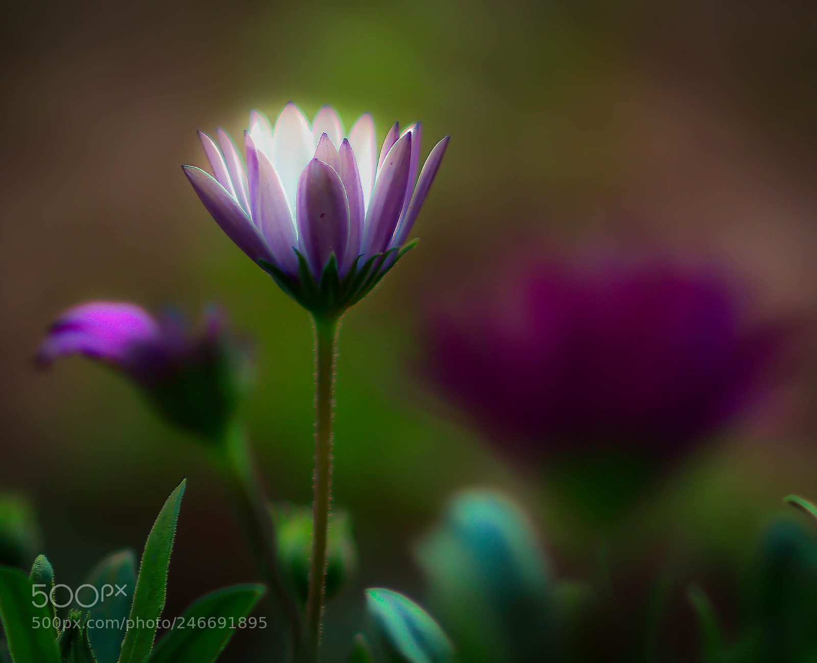 Nikon D7100 sample photo. Spring comes closer photography