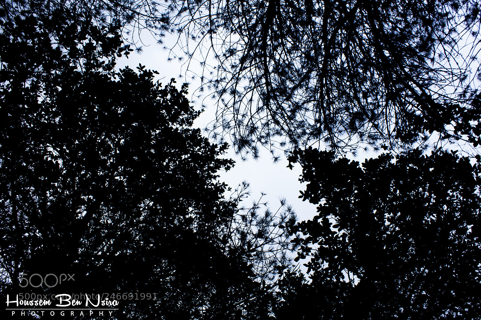 Canon EOS 550D (EOS Rebel T2i / EOS Kiss X4) sample photo. Dark night in the photography