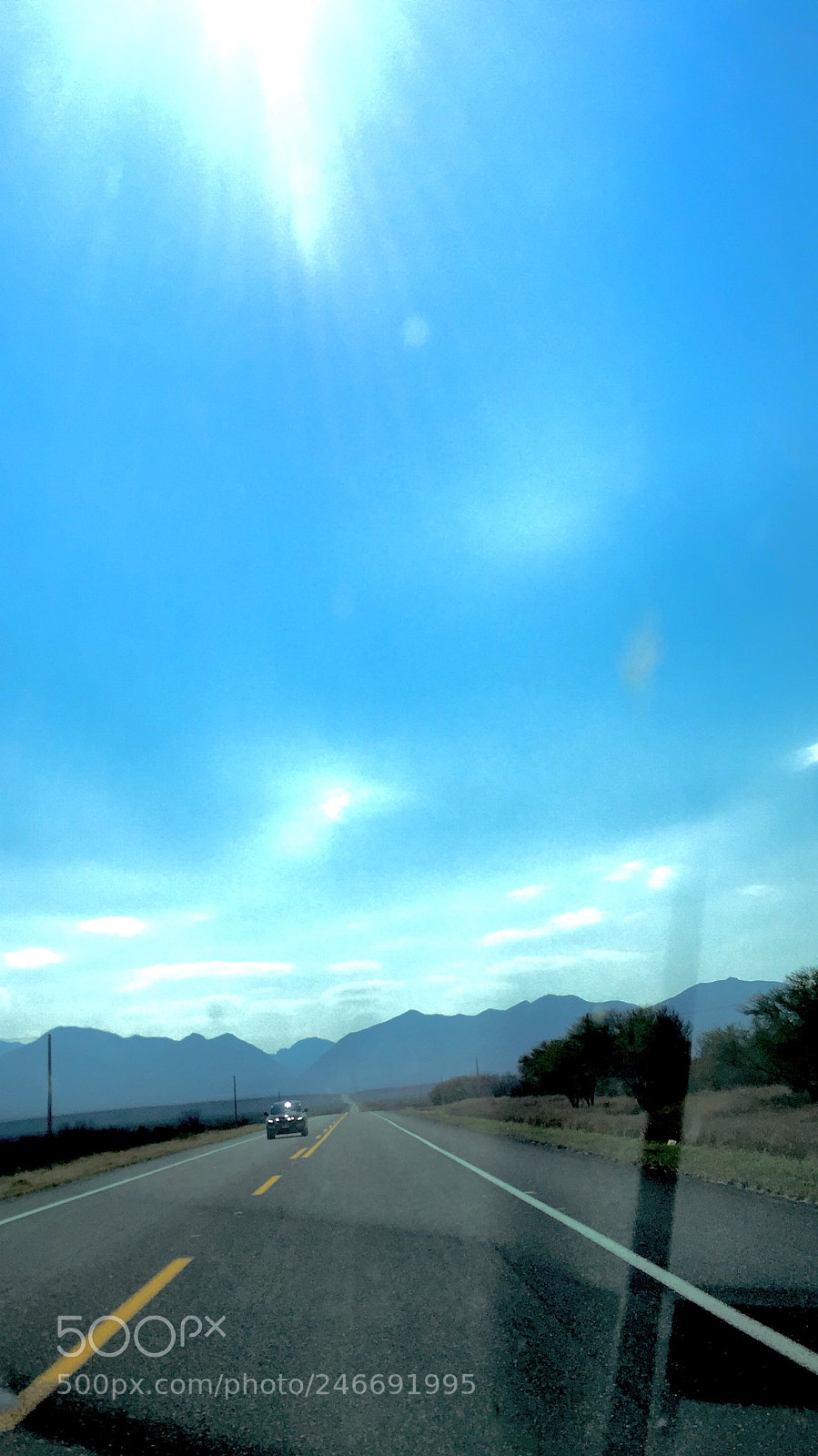 Apple iPhone 6 sample photo. En pleno sol photography