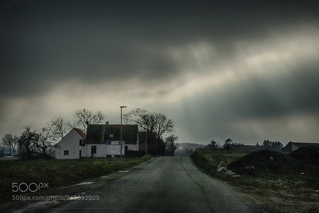 Nikon D3 sample photo. Un the countryside photography