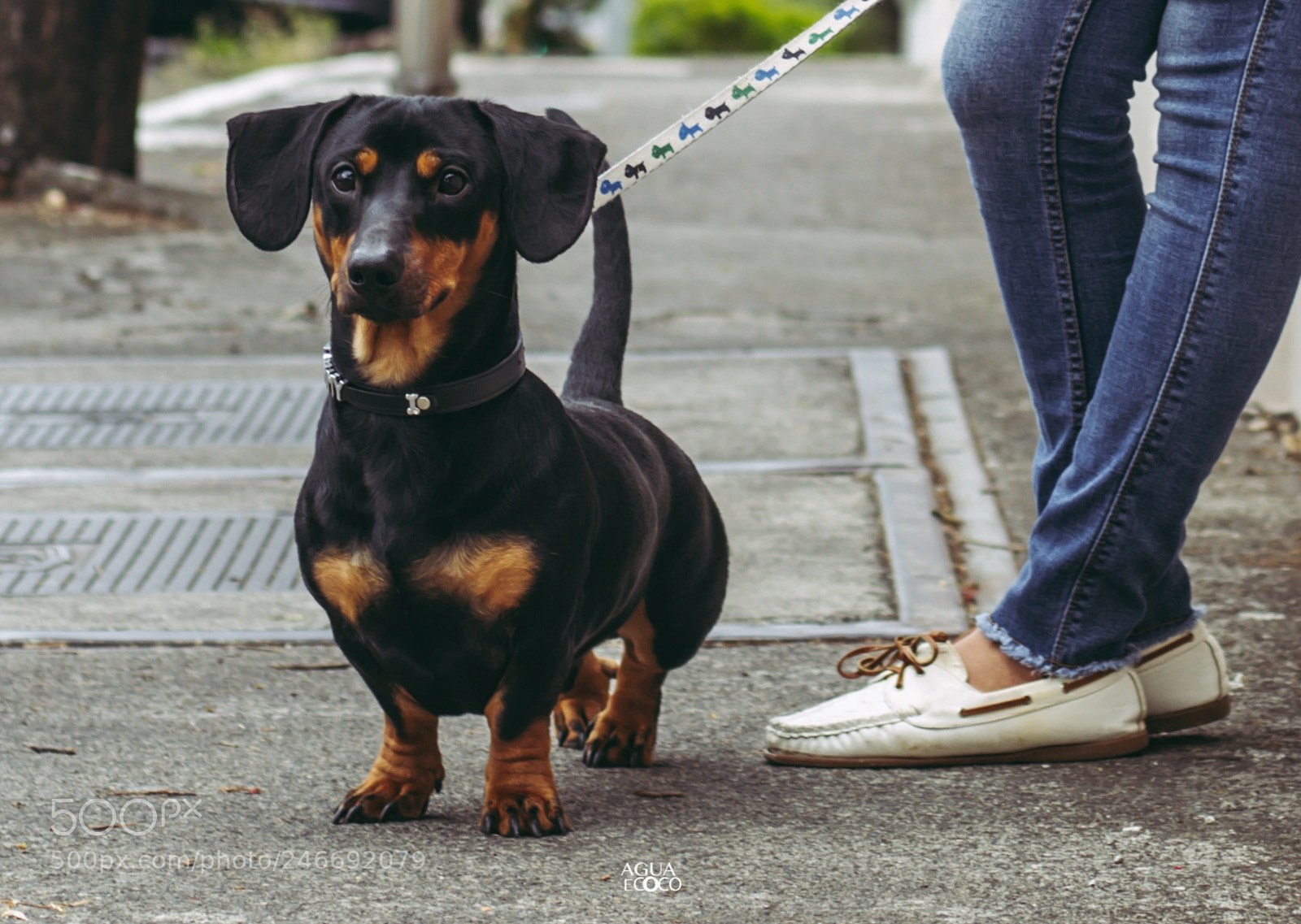 Canon EOS 7D sample photo. Tommy&nohe | aguaecoco photography