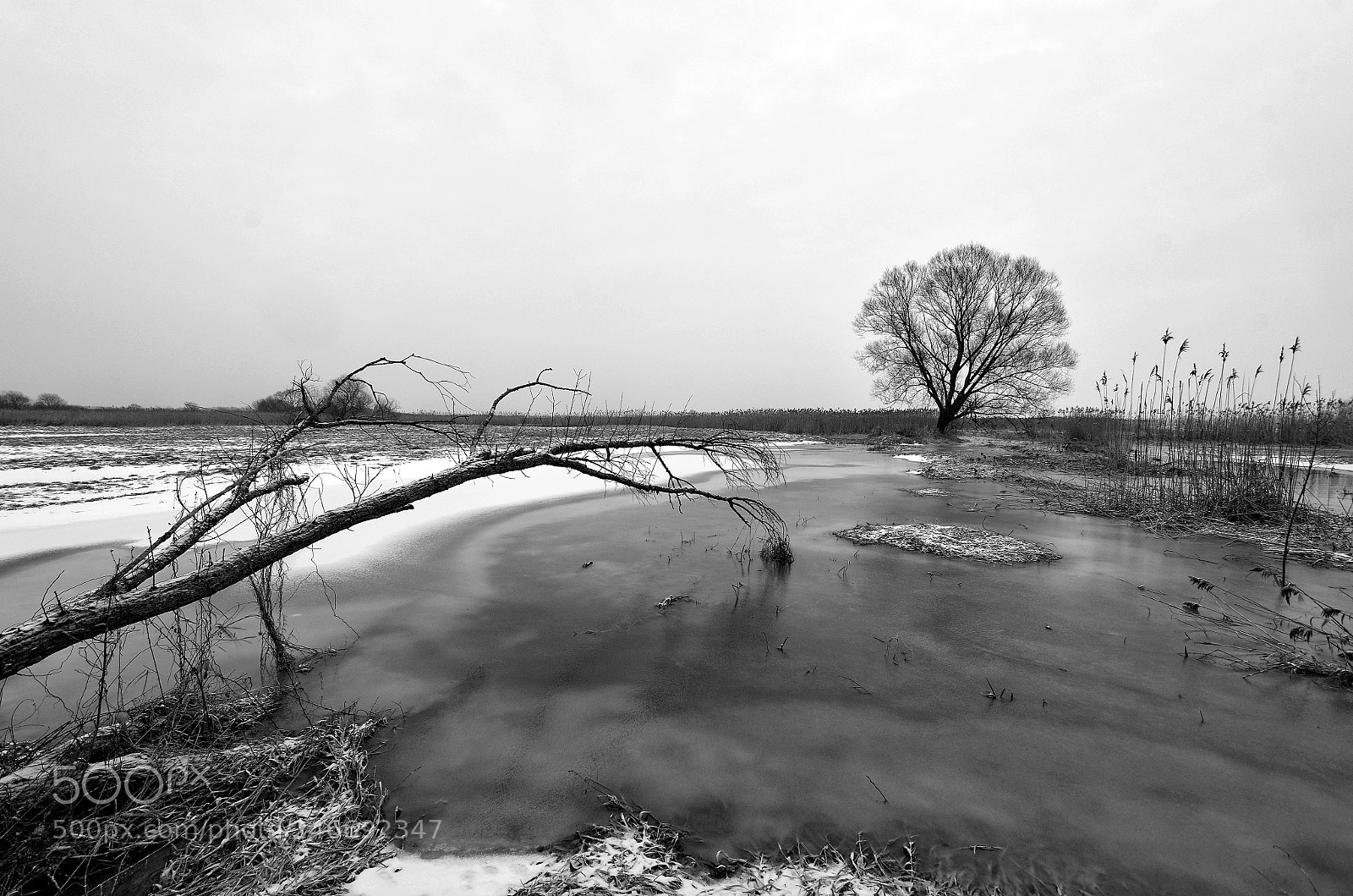Pentax K-30 sample photo. Obeisance photography