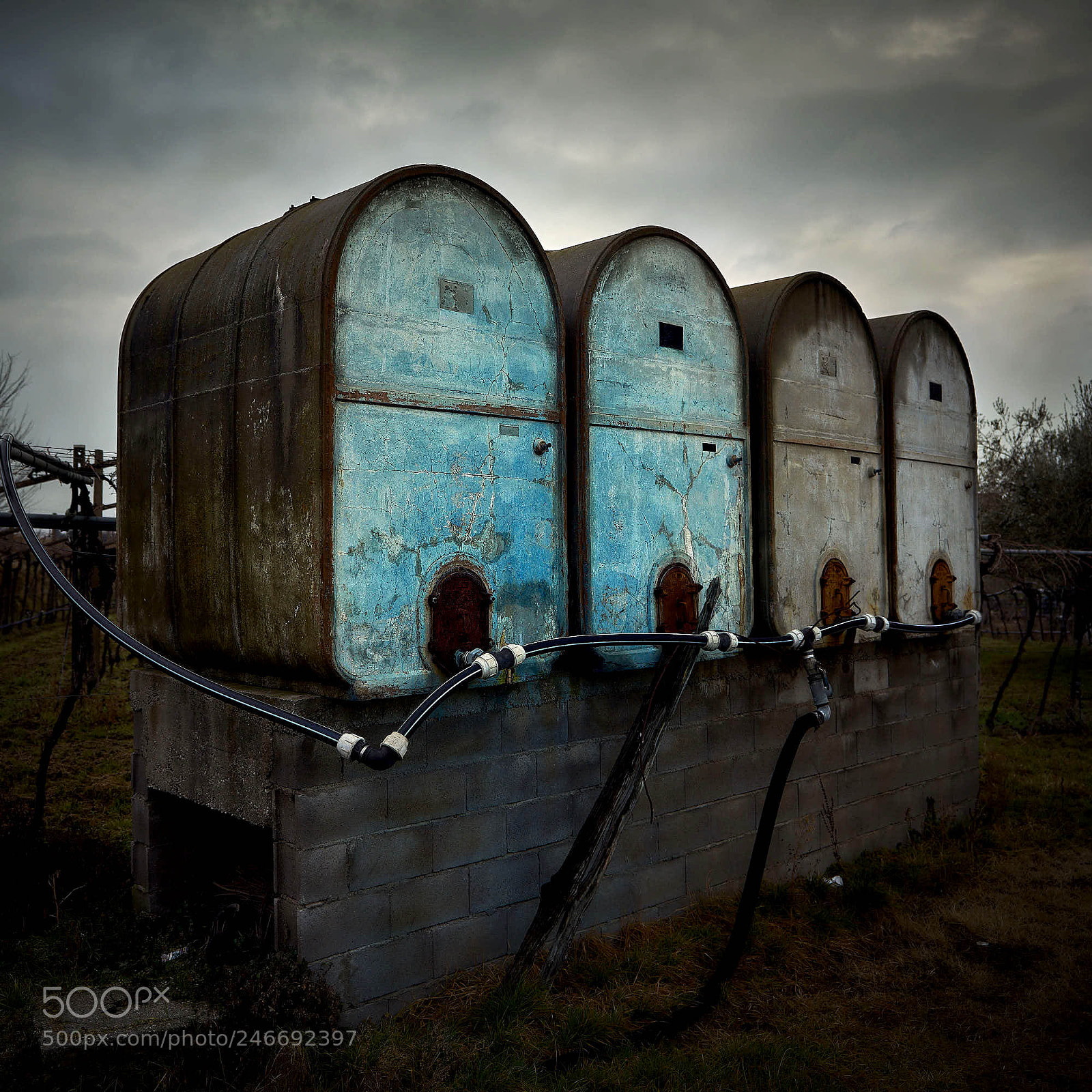 Sony a7R II sample photo. Old wine barrels photography