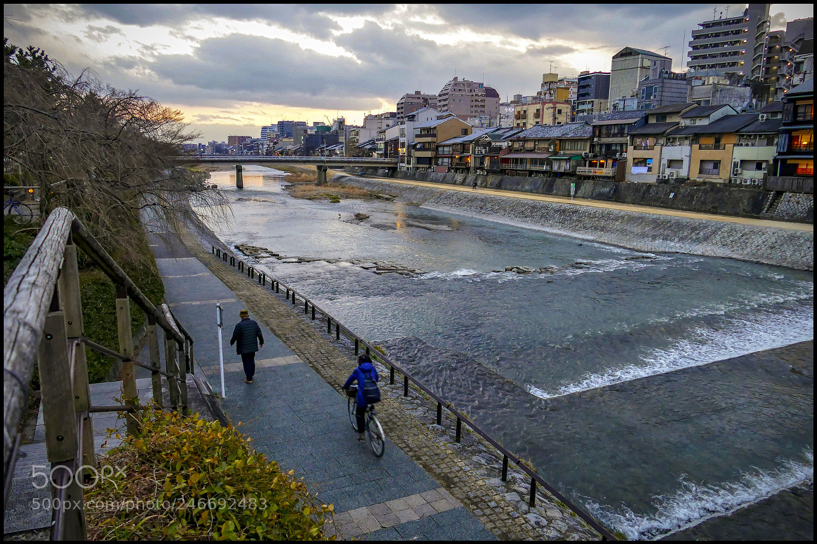 Leica V-Lux (Typ 114) sample photo. Kamo-gawa river , kyoto.... photography