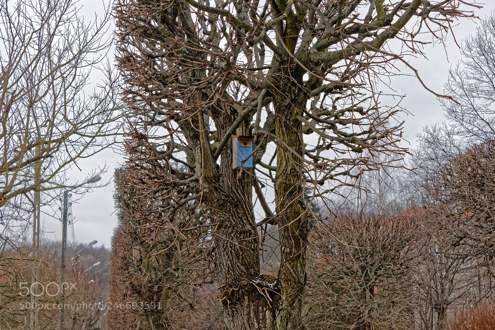Canon EOS 1200D (EOS Rebel T5 / EOS Kiss X70 / EOS Hi) sample photo. Autumn/winter landscapes photography