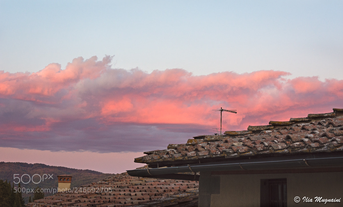 Nikon D7200 sample photo. Pink clouds photography