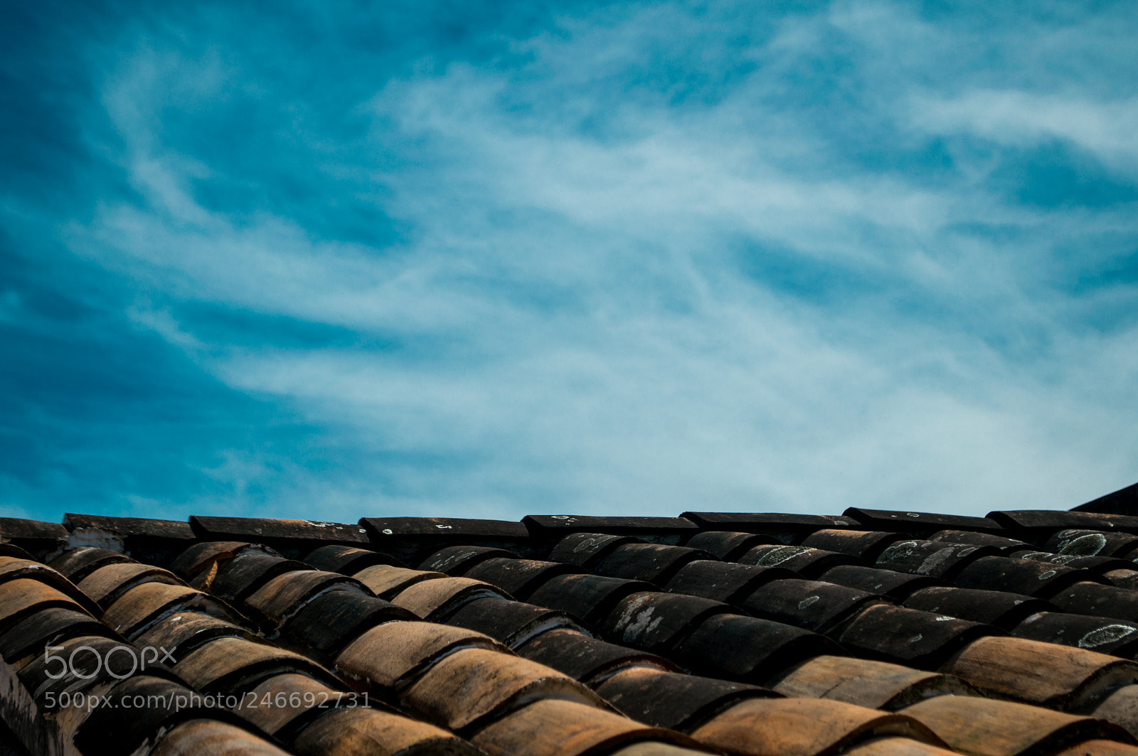 Nikon D3200 sample photo. Xalapa photography