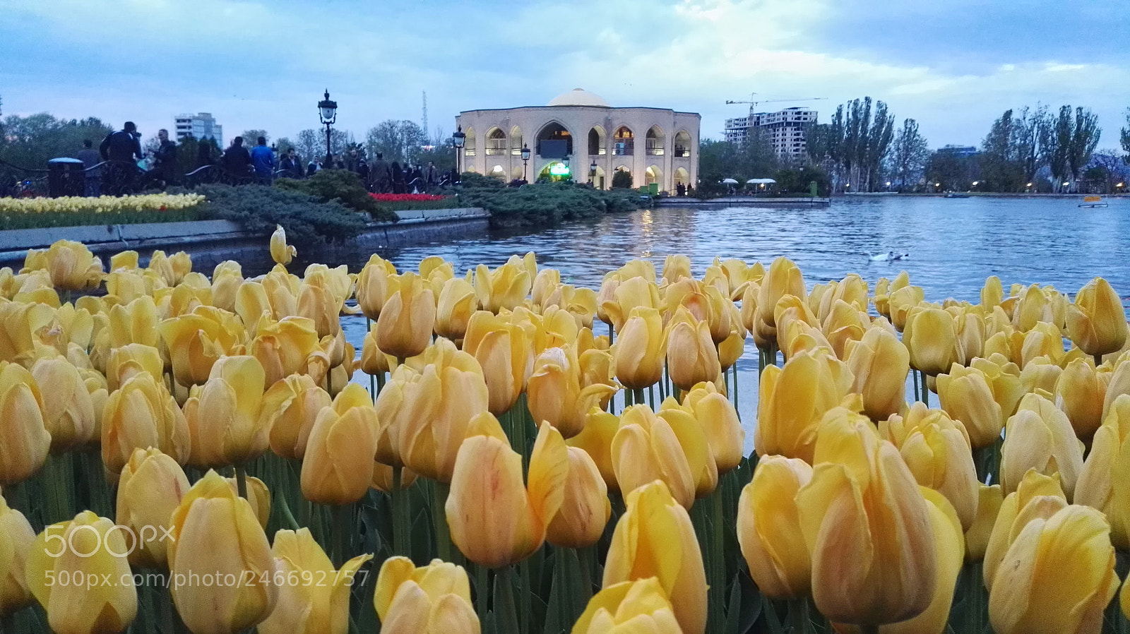 HUAWEI P8 sample photo. Dav photography