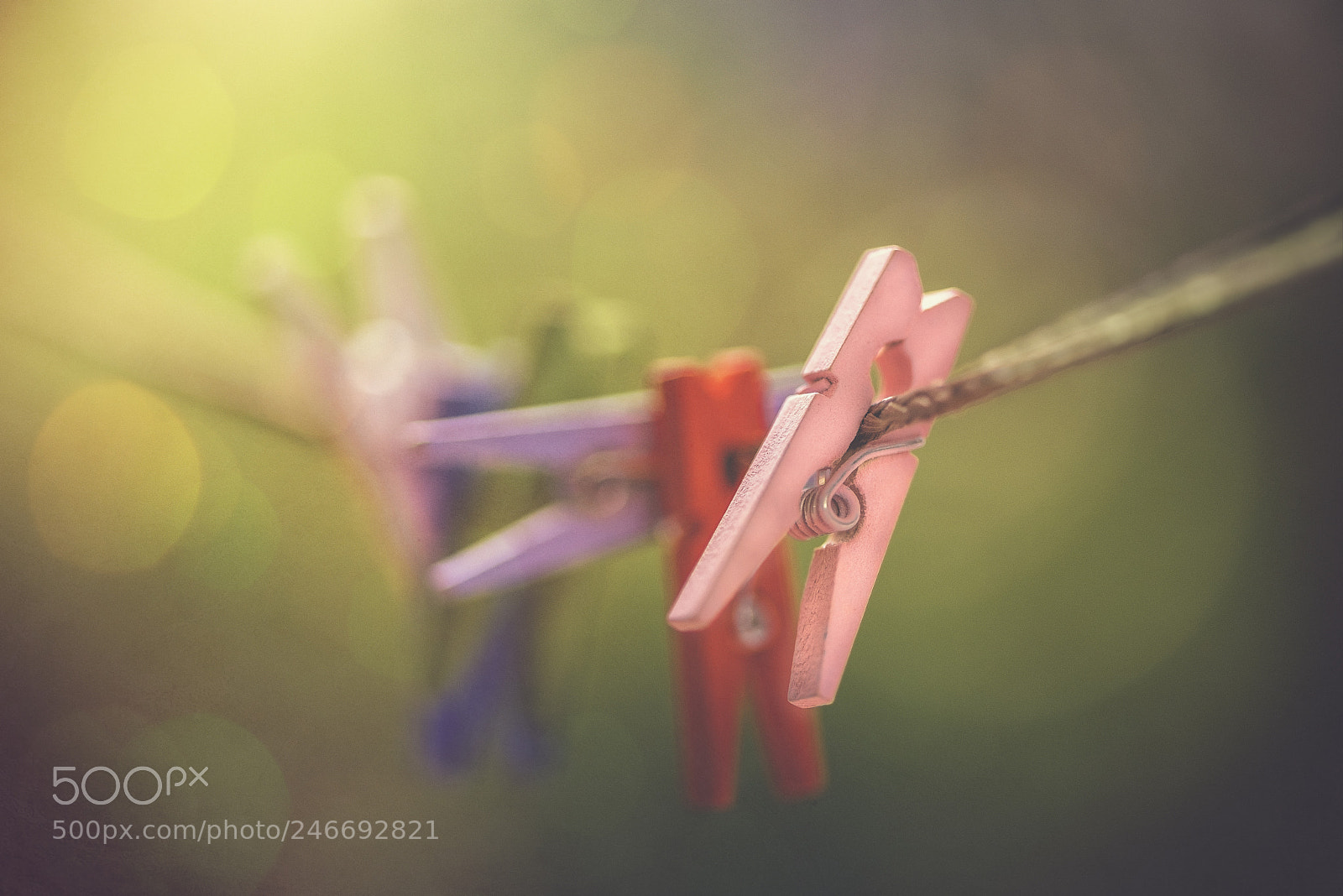 Nikon D600 sample photo. Tiny clothespins photography