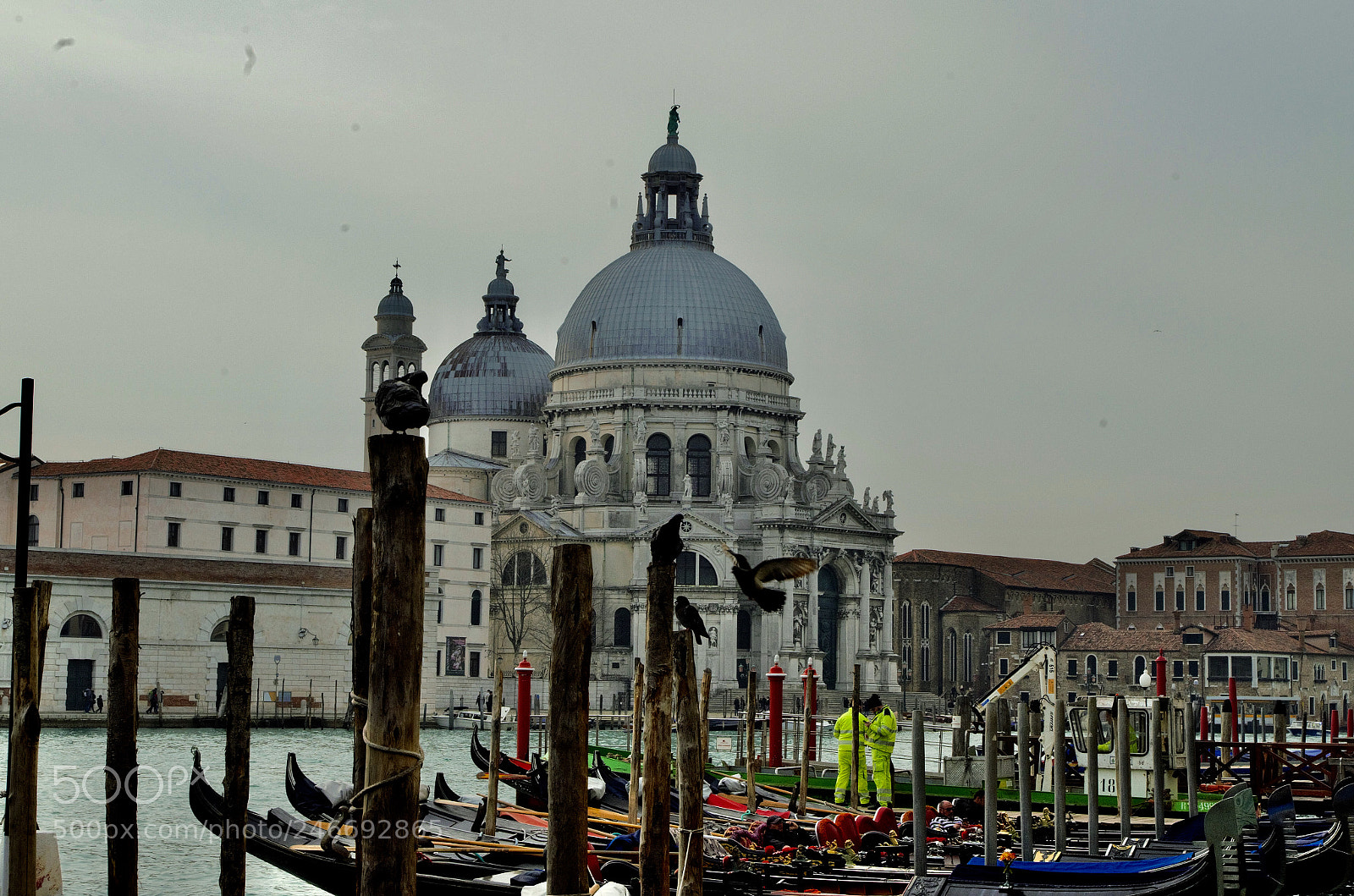 Pentax K-500 sample photo. Venice, italy photography