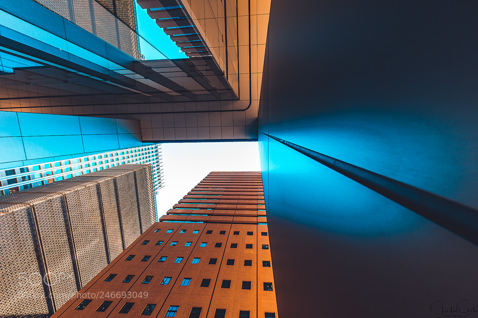 Canon EOS 5DS R sample photo. “rising towers” ©2018 photography