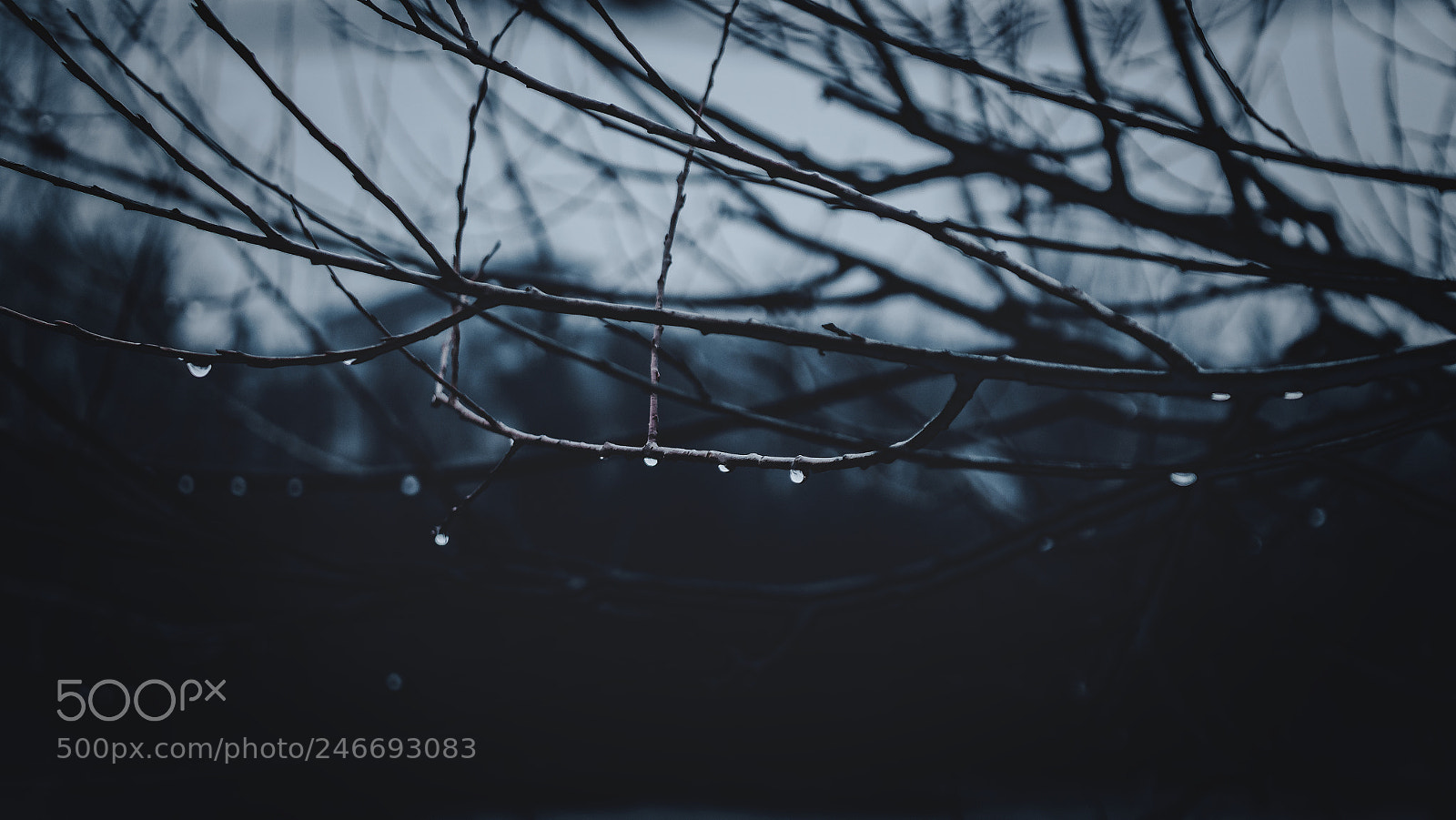 Canon EOS 100D (EOS Rebel SL1 / EOS Kiss X7) sample photo. Moody sunday photography