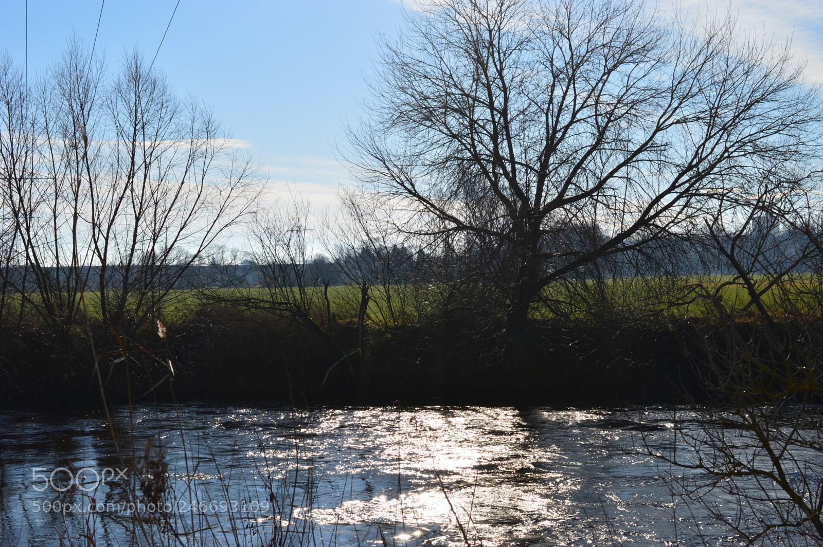 Nikon D3200 sample photo. A sunny day photography