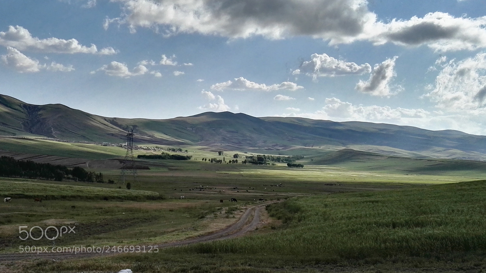 HUAWEI P8 sample photo. Hdr photography