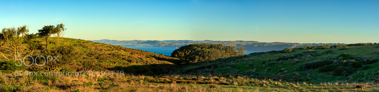 Pentax K-3 II sample photo. Point reyes photography