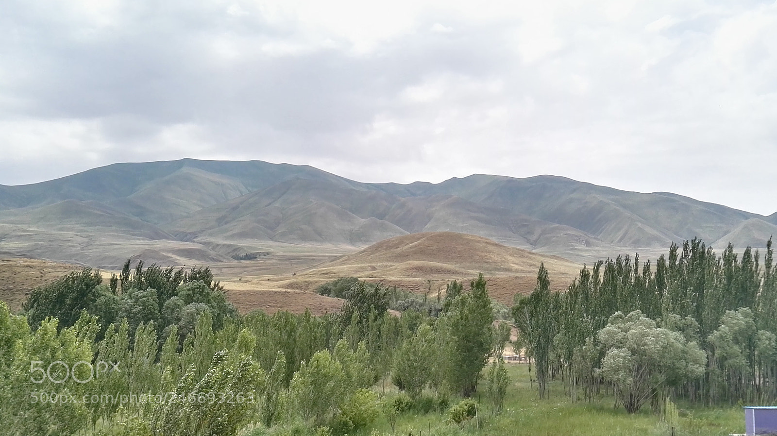 HUAWEI P8 sample photo. Sdr photography