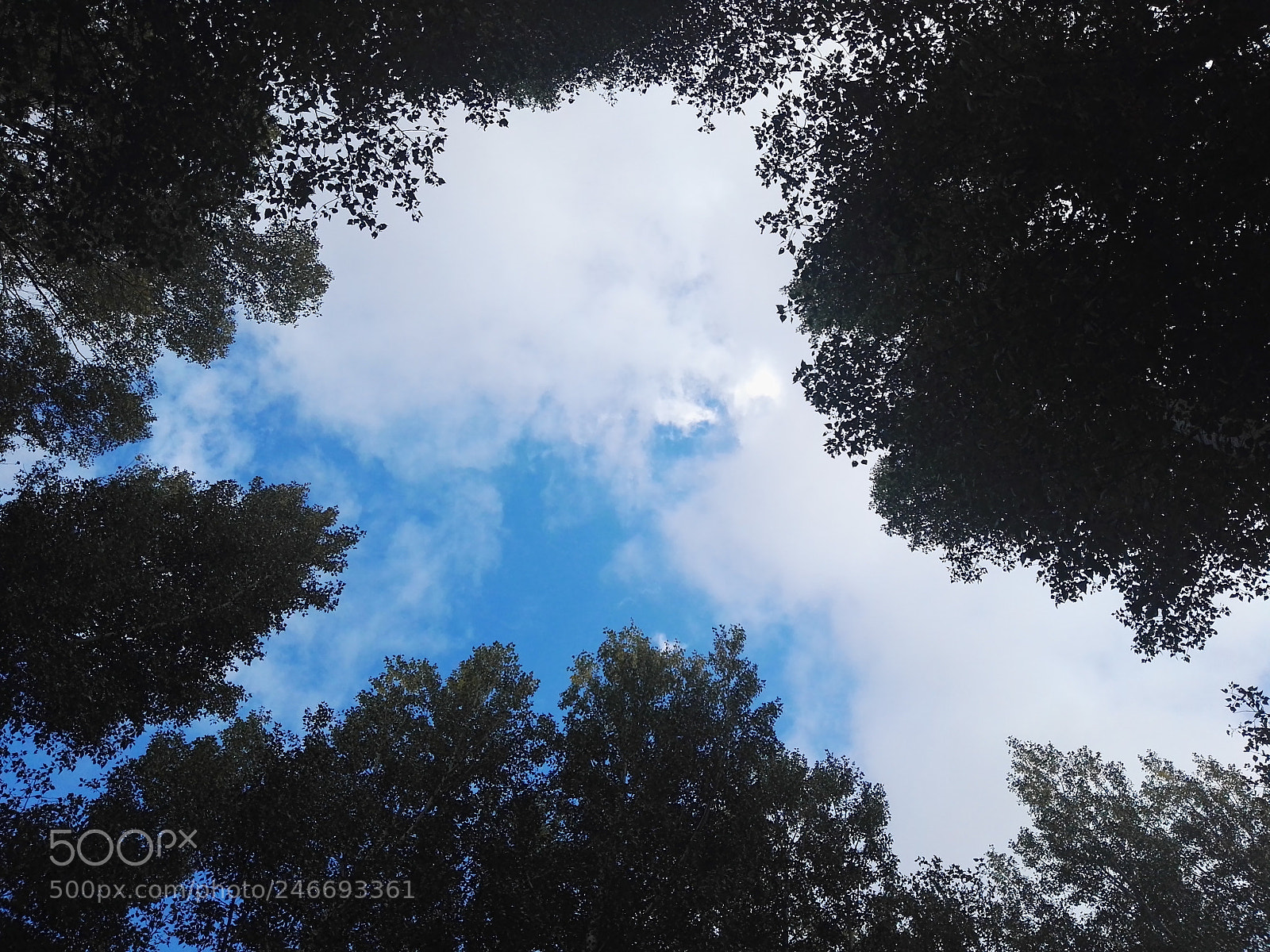 HUAWEI P8 sample photo. Dav photography