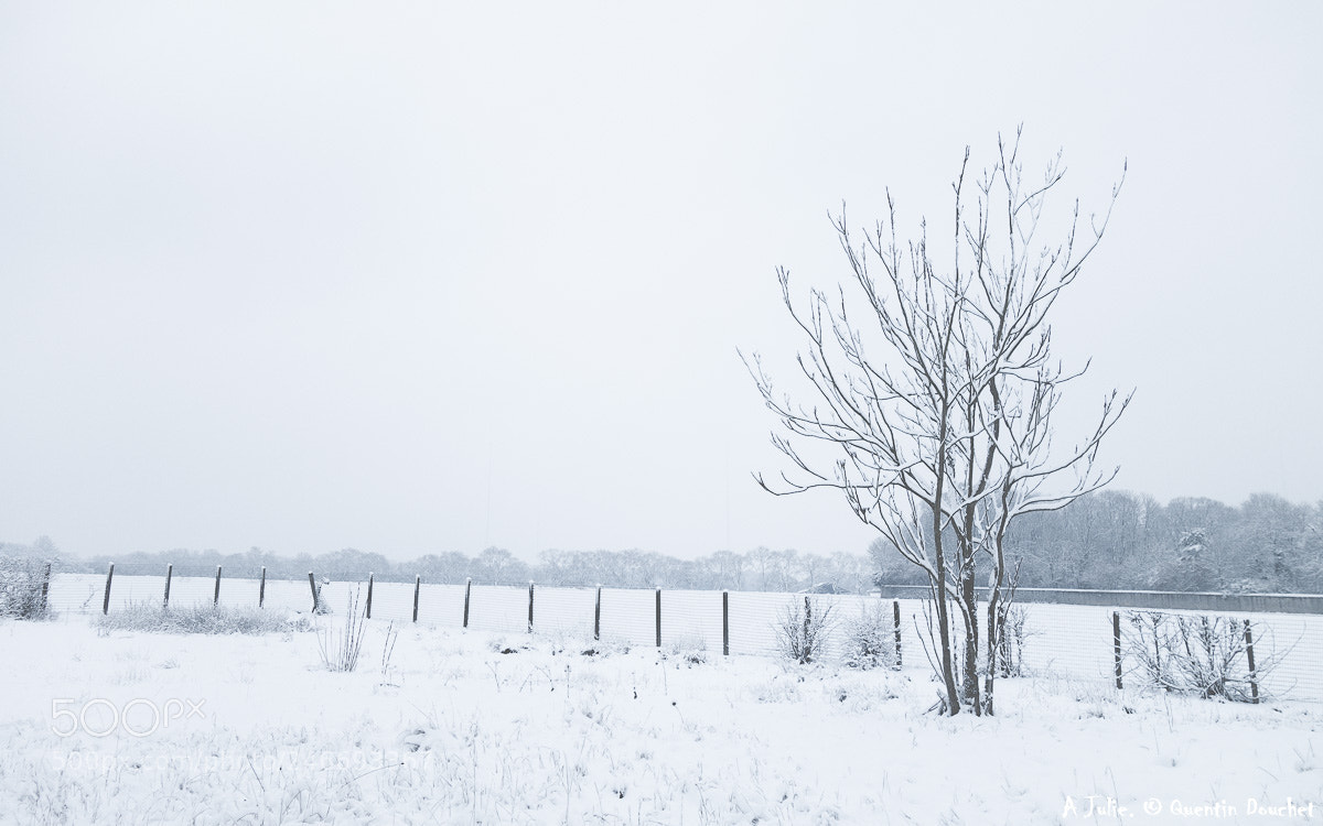 Sony Cyber-shot DSC-RX100 II sample photo. Neige d'hiver photography