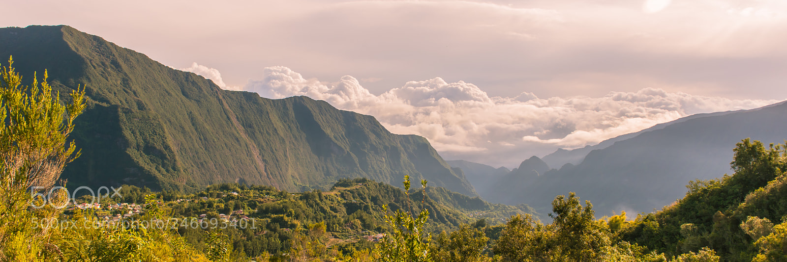Nikon D800E sample photo. Piton maillot - le photography