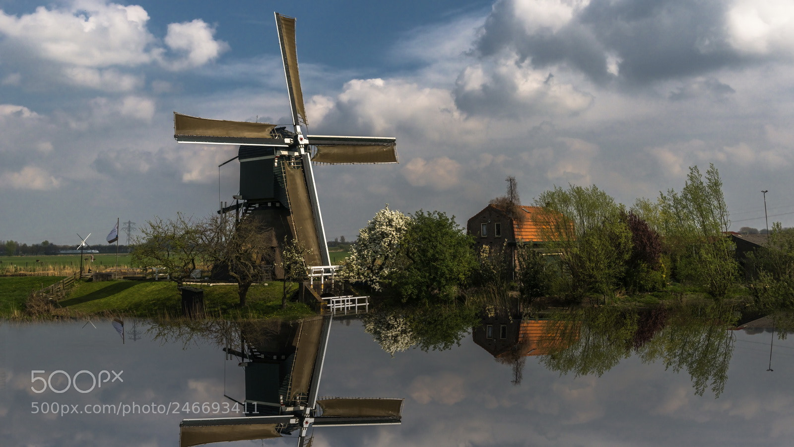 Nikon D800E sample photo. Windmill photography