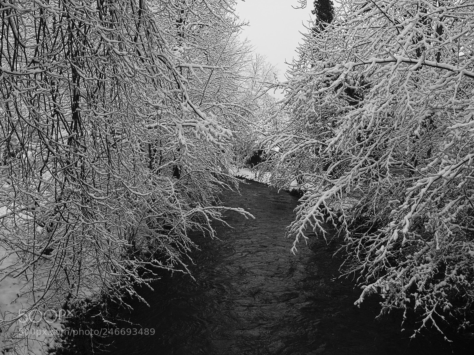 Olympus PEN E-PL5 sample photo. Black water photography