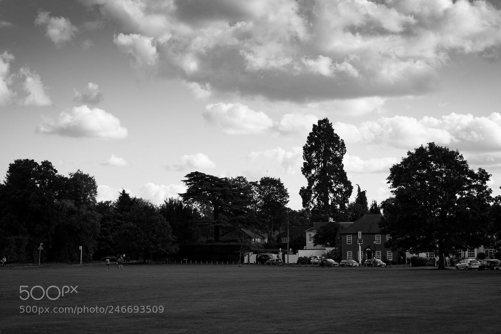 Fujifilm X-Pro2 sample photo. Englefield green photography