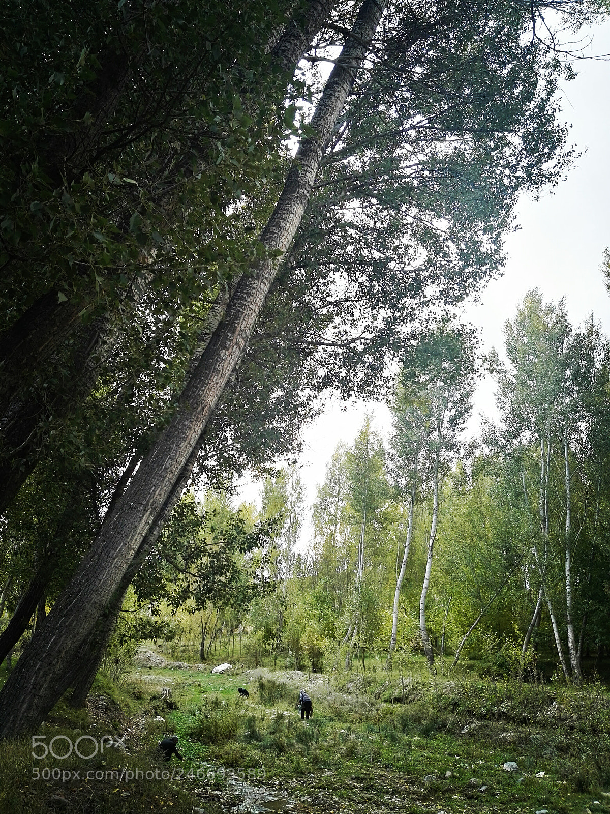 HUAWEI P8 sample photo. Sdr photography