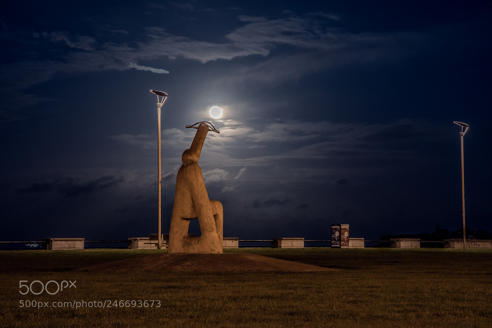 Nikon D500 sample photo. The moon hunter photography