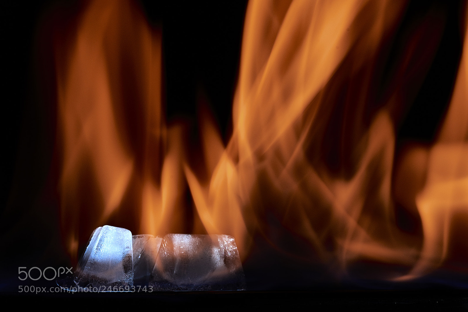 Nikon D800E sample photo. Ice on fire photography