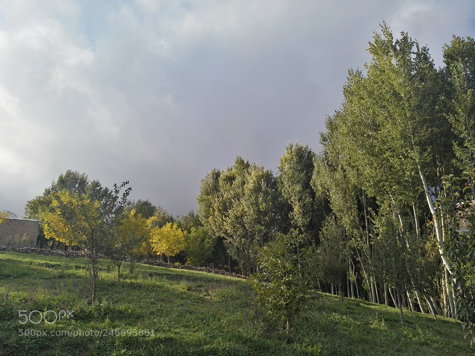 HUAWEI P8 sample photo. Hdr photography
